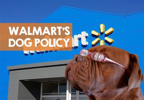 Can You Take A Dog Into Walmart