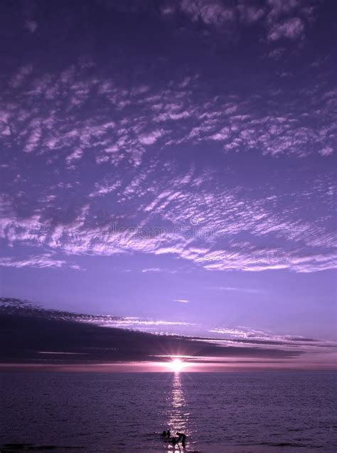 Purple Sunset Stock Photo Image Of Heaven Sunset Shining 73428