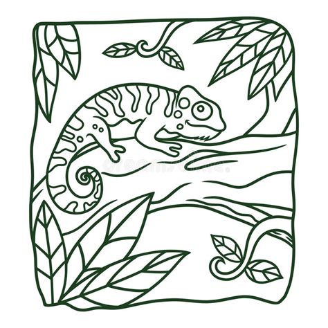 Coloring Page Chameleon Lizard Stock Illustrations 250 Coloring Page