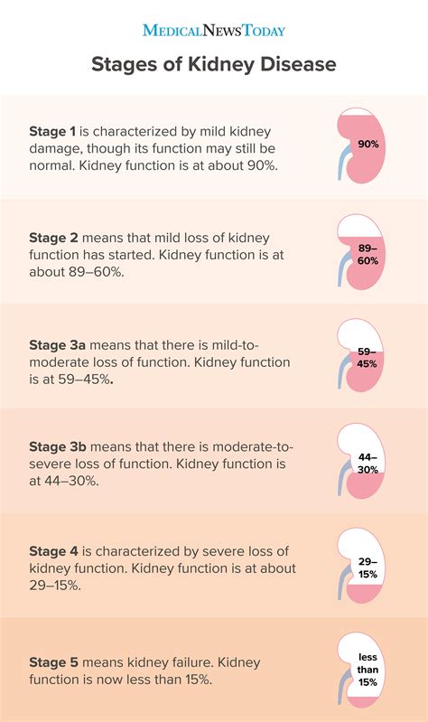 Early Signs Of Kidney Failure