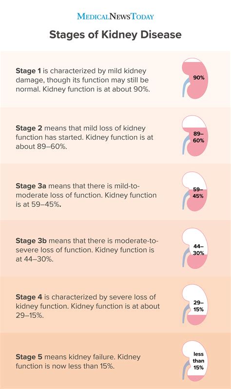 Stages Of Kidney Disease Chart