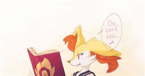 【pokemon】braixen X Lucario In The Library Illustration By Ancesra