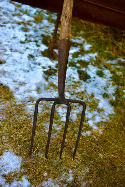 Two Farmers With Pitchforks Stock Photos Pictures And Royalty Free