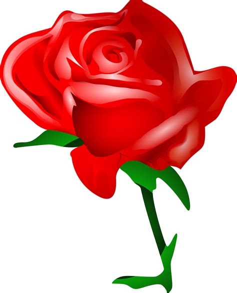 Free 3d Roses Cliparts Download Free 3d Roses Cliparts Png Images