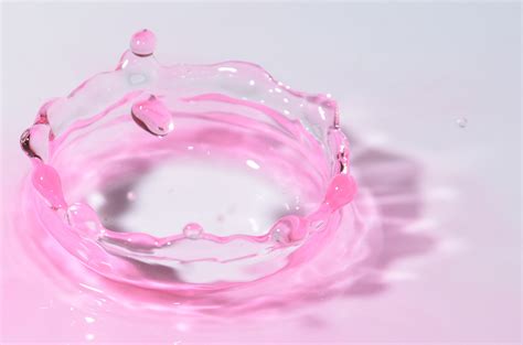 Free Images Flower Petal Heart Splash Color Pink Icing Drop Of