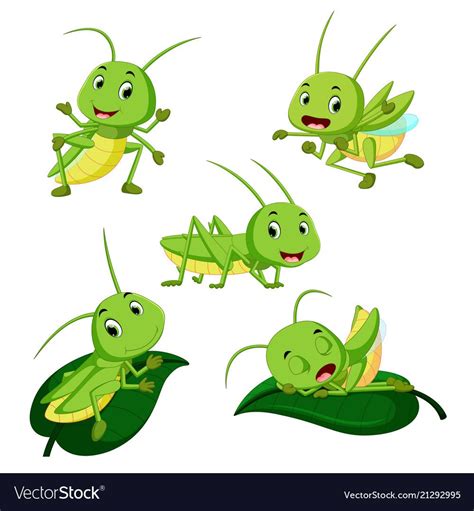 Illustration Of Set Collection Grasshopper Cartoon Download A Free