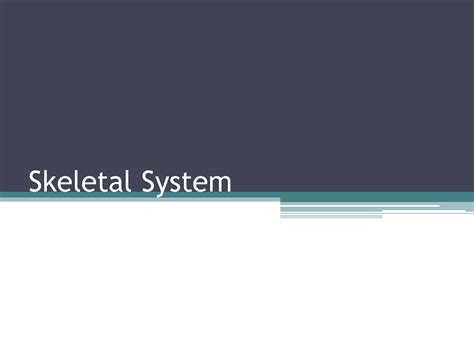 Solution Skeletal System Presentation Studypool