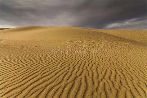 Hermosas Vistas Del Paisaje Del Desierto Desierto De Gobi Foto De