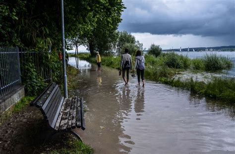 Bodensee Wasserstand Radolfzell