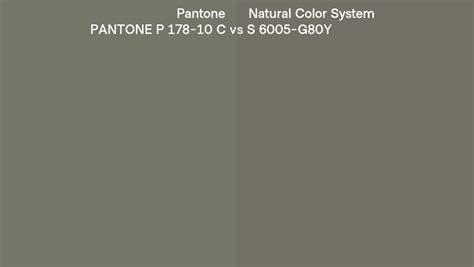 Pantone P 178 10 C Vs Natural Color System S 6005 G80y Side By Side