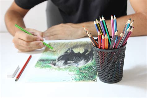 Can You Use Colored Pencils On Canvas Things You Should Know