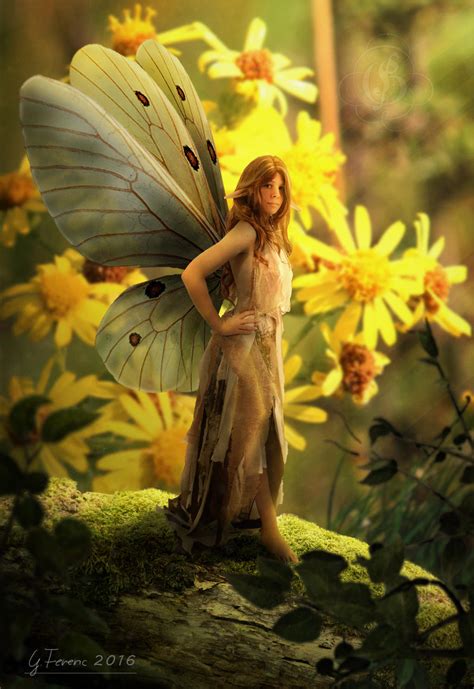 Butterfly Fairy By Ferianimations On Deviantart