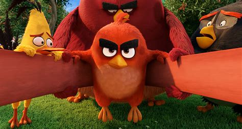 The movie takes us to an island populated entirely by following along in similar footsteps as the lego movie, the angry birds movie manages to create a fun and thrilling feature length story out of. Star-Studded Cast Announced for 'The Angry Birds Movie 2 ...