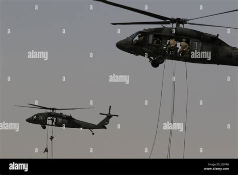 Us Servicemembers Rappelling Out Of Uh 60 Black Hawk Helicopters