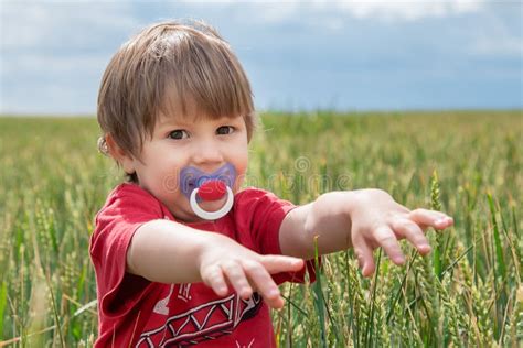 Cute Little Farmer In Wheat Field Portrait Of A Little Boy In A Wheat