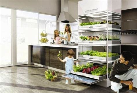 Hyundais Kitchen Nano Garden Grow Your Own Organic