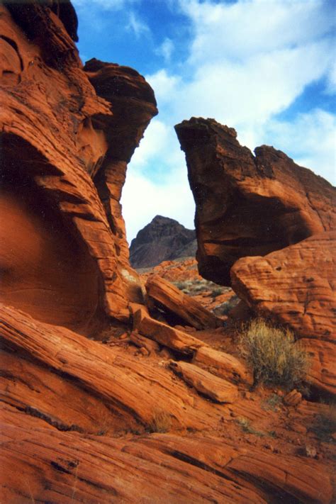 Nevada Desert Desert Landscaping Nevada Desert Landscape Photos