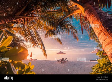 Idyllic Sunset Tropical Beach Landscape For Background Or Wallpaper