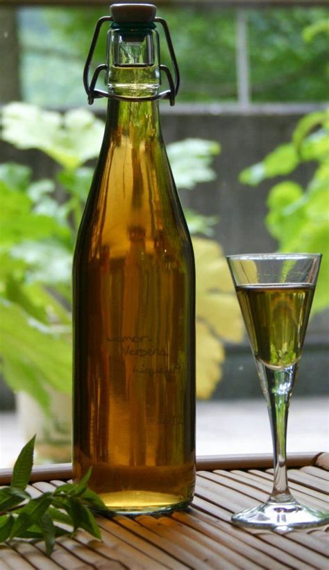 A cheap, generic, typical b&bw fragrance with heavily synthetic creamy coconut and sharp, tart sparkling lime. Lemon Verbena Liqueur | Lemon verbena, Lemon verbena ...