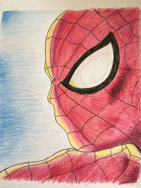 Coloured Pencil Drawing Of Spider Mani Am Quite Proud Of This