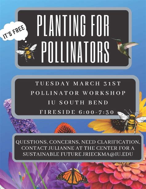 Planting For Pollinators Talking Sustainability