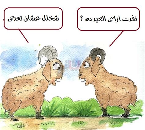 صور كاريكاتير مضحكة عن ذبح الخروف في عيد الاضحى. صور مضحكة عن العيد الاضحى , رمزيات عيد الاضحي فى صورة كلام ...