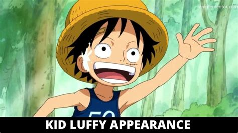 Monkey D Luffy Wiki Age Bounty Abilities And More