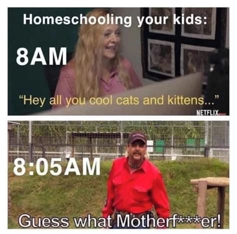 14 Funny Homeschooling Memes That Are Far Too Relatable The Poke