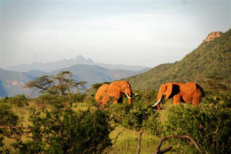 Kenya Tourist Board Us Press Coverage 10 Incredible Adventures In Kenya