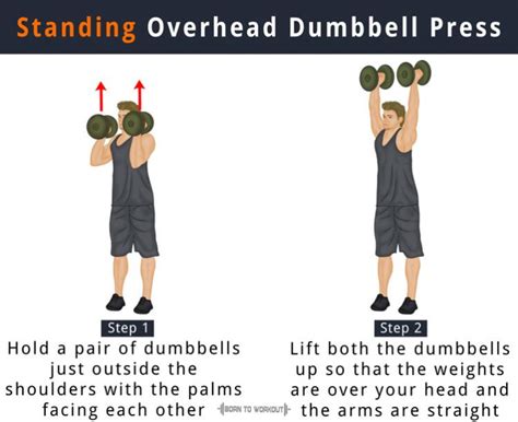 Standing Overhead Dumbbell Press Born To Workout Born To Workout