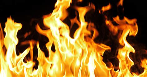 722 best fire free video clip downloads from the videezy community. Fire Flames Igniting and Burning Stock Footage Video (100% ...