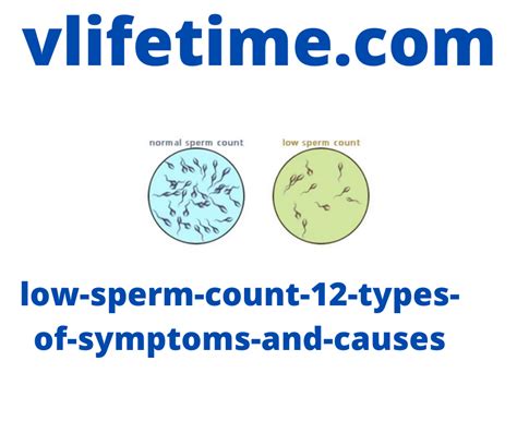 Low Sperm Count Types Of Symptoms And Causes Vlog Life Time