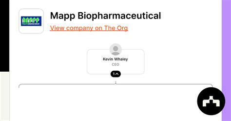 Mapp Biopharmaceutical Org Chart Teams Culture And Jobs The Org