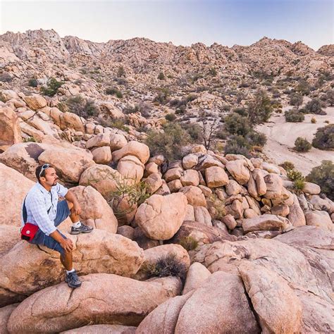 Amazing Joshua Tree Photos James Kaiser