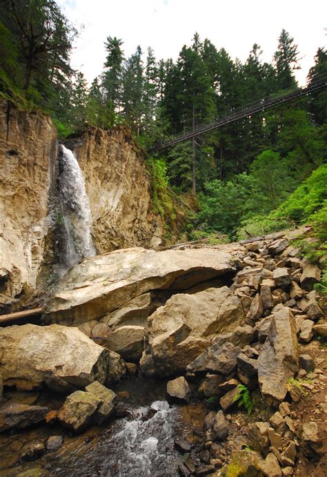 Drift Creek Falls Hike Outdoor Project