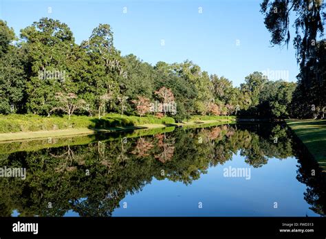 Reflection pool in gardens of Middleton Place, Charleston, South