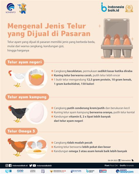 Mengenal Jenis Telur Yang Dijual Di Pasaran Indonesia Baik