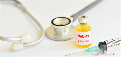 If you plan on staying in a will i need a rabies booster shot? The canine rabies vaccine.
