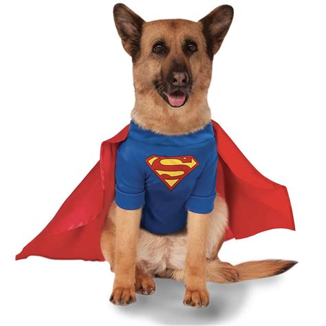 20 Cute Halloween Costumes For Extra Large Dogs Up To 3xl Hey