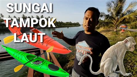 There are multiple theories as to the origin of this. Sungai Tampok Laut Benut & Rengit. Taman Rekreasi di ...