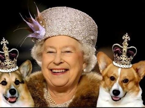16 Facts About Corgis Queen Elizabeth Ii The Dogman