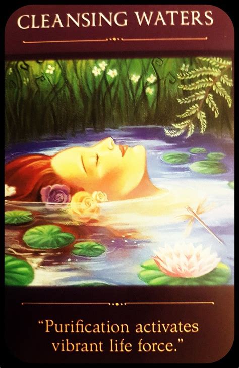 Sacred Traveller Oracle Denise Linn Cleansing Waters Purification