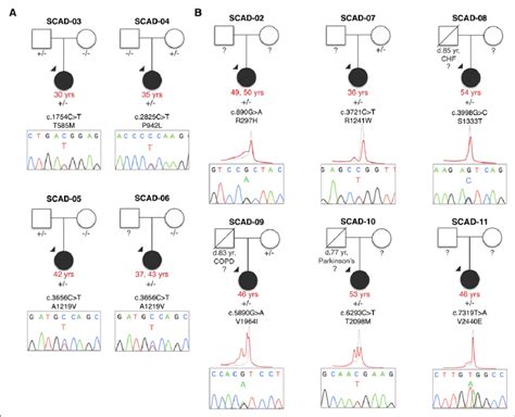 Sanger Sequencing Verification Of Heterozygous Missense Variants In Download Scientific Diagram