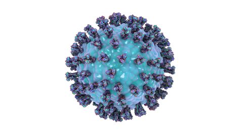 Virology Anti Viral Tests Hylabs