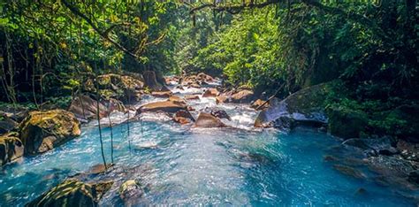 Llanuras Del Norte Visit Costa Rica The Official Site About Tourism