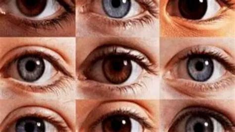¿de Qué Color Son Tus Ojos Este Test Visual Revela Rasgos De Tu