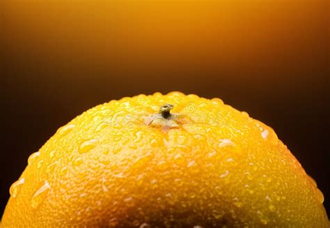 Orange Fruit Stock Photo Image Of Healthy Gourmet Freshness 48043194