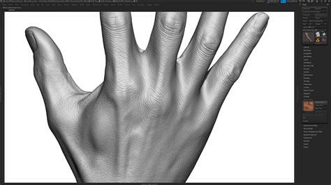 Male 3d Hand Model Black 60 Years Old