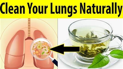Recipe To Clear Lungs In 3 Days Worldrecipes
