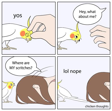 Best R Chicken Thoughts Images On Pholder Oh No